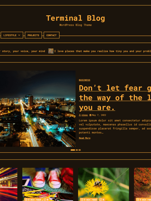 Terminal Blog WordPress 主题