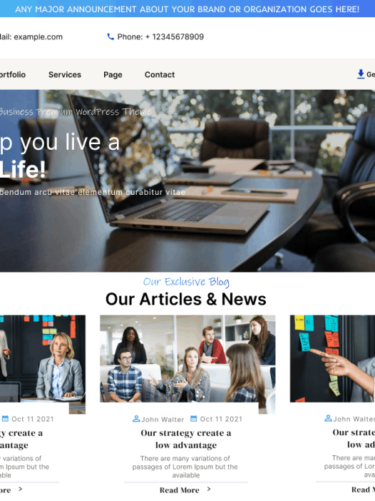 Business Development Coaching WordPress 主题