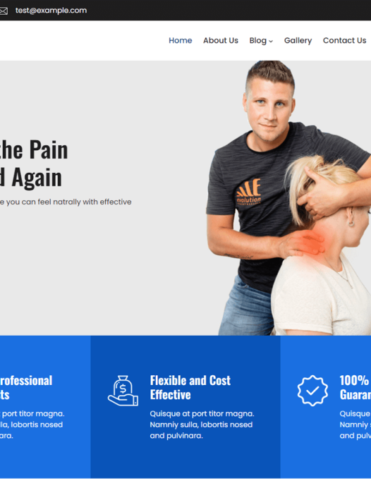 Synergy FSE WordPress 主题