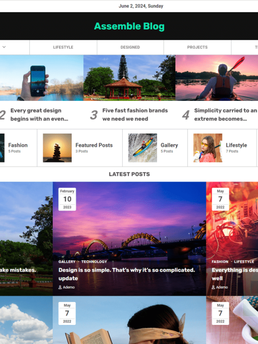 Assemble Blog WordPress 主题