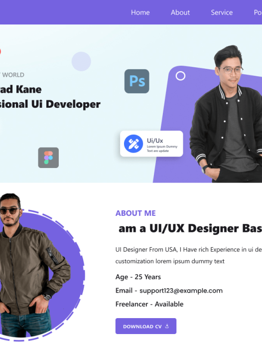 CV Portfolio Blocks WordPress 主题