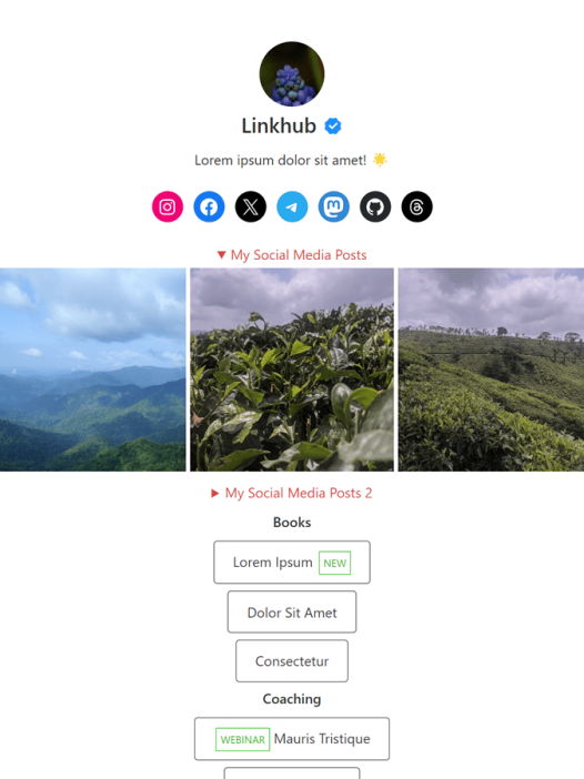 Linkhub WordPress 主题