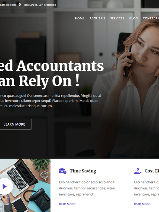 Bosa Accounting WordPress 主题