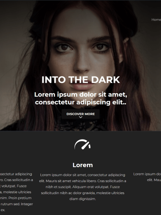 IntoTheDark WordPress 主题