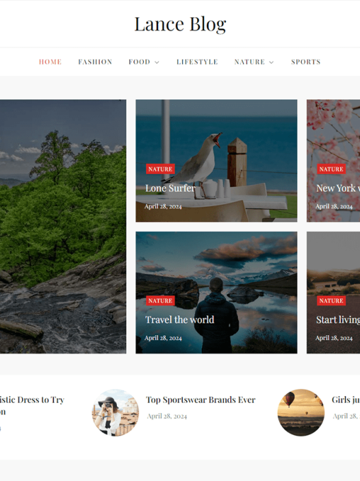 Lance Blog WordPress 主题