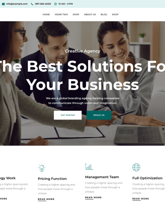 Gutenify Bizlite WordPress 主题