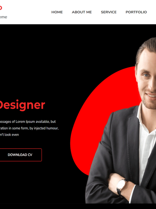 Go Portfolio WordPress 主题