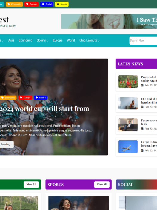 NewsNest WordPress 主题