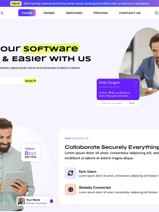 Software CMS WordPress 主题