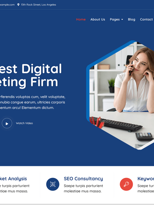 Bosa Digital Marketing WordPress 主题