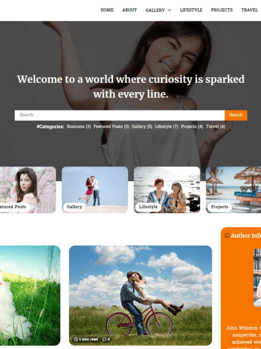 Nice Blog WordPress 主题