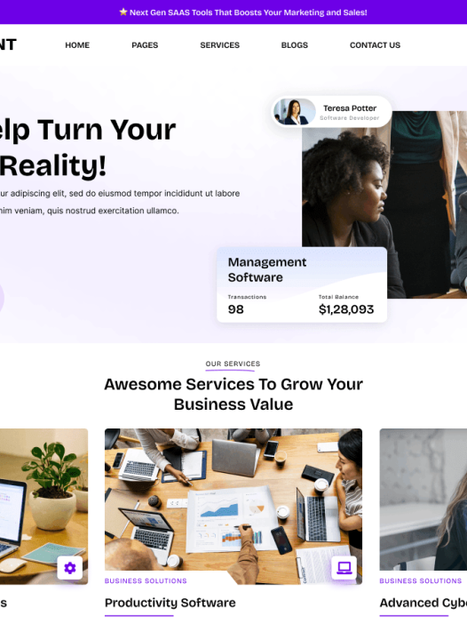 App Development Company WordPress 主题