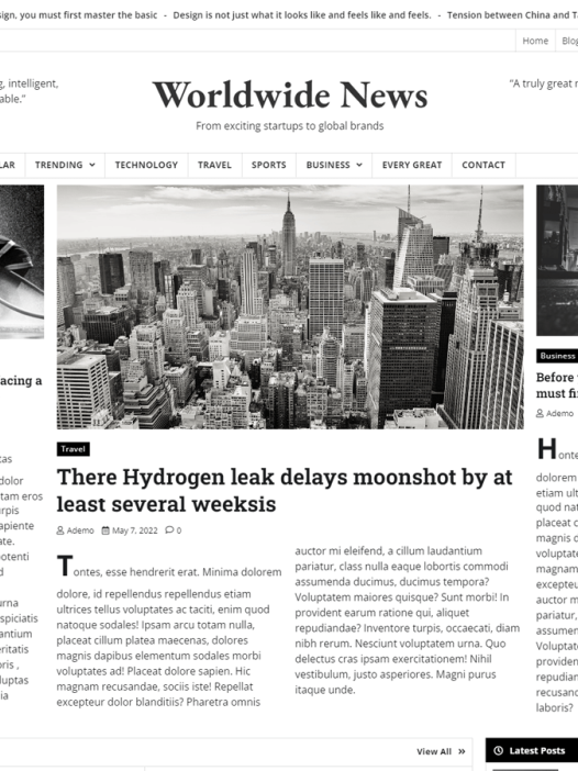 Worldwide News WordPress 主题