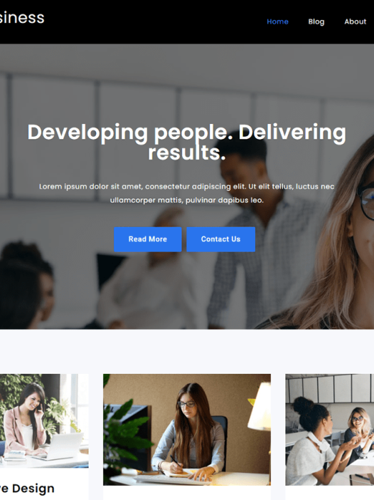 Crimson Business WordPress 主题