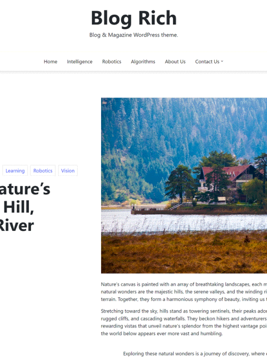 Blog Rich WordPress 主题