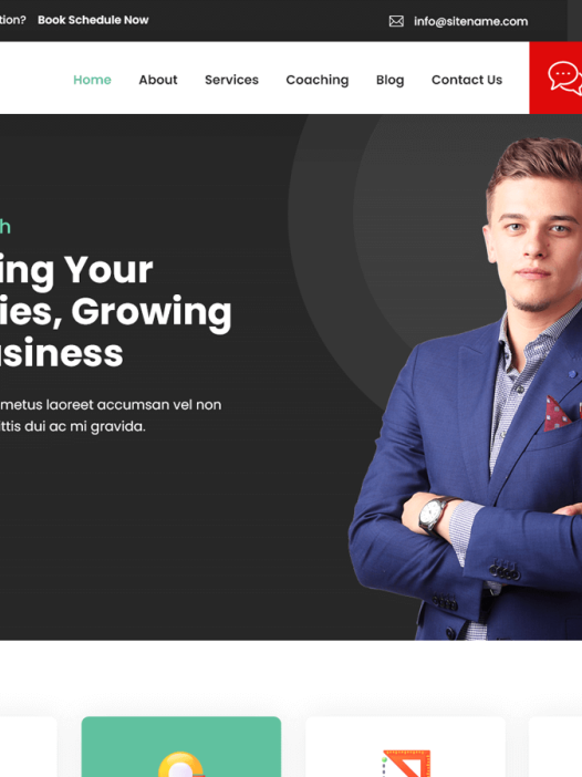 Strategist FSE WordPress 主题