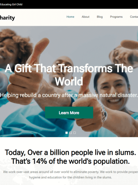 Welfare Charity WordPress 主题