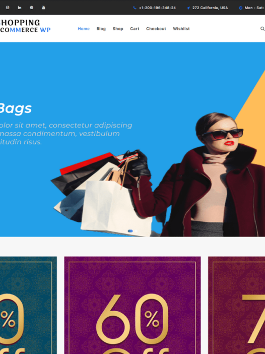 Shopping Ecommerce WP WordPress 主题