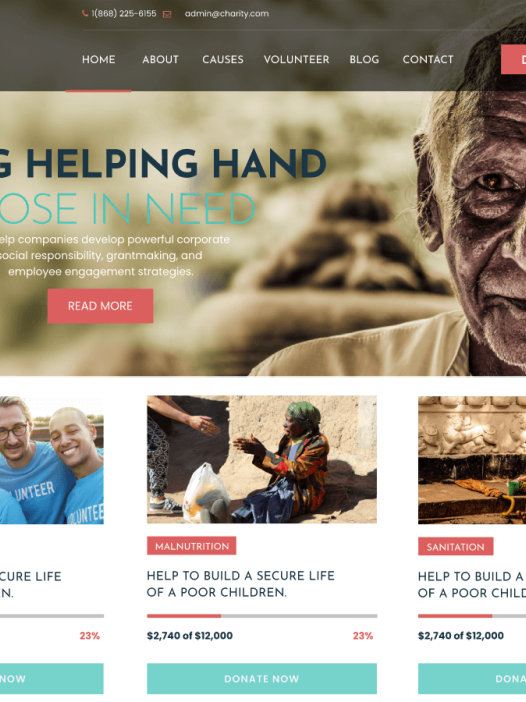 NGO Organization WordPress 主题