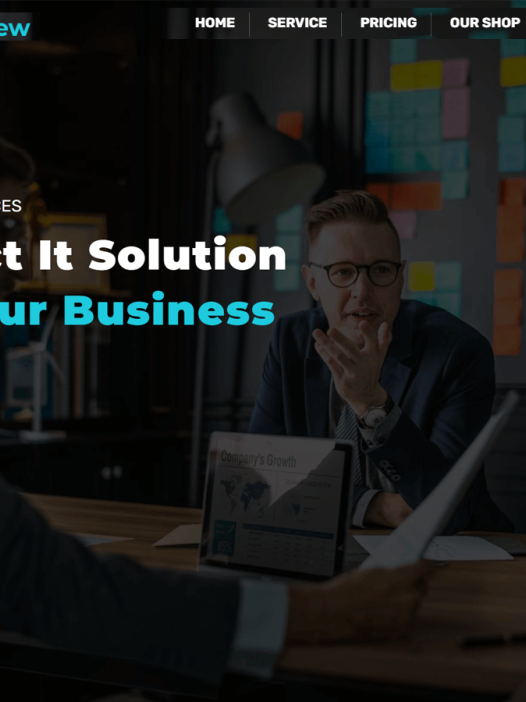 Business View WordPress 主题