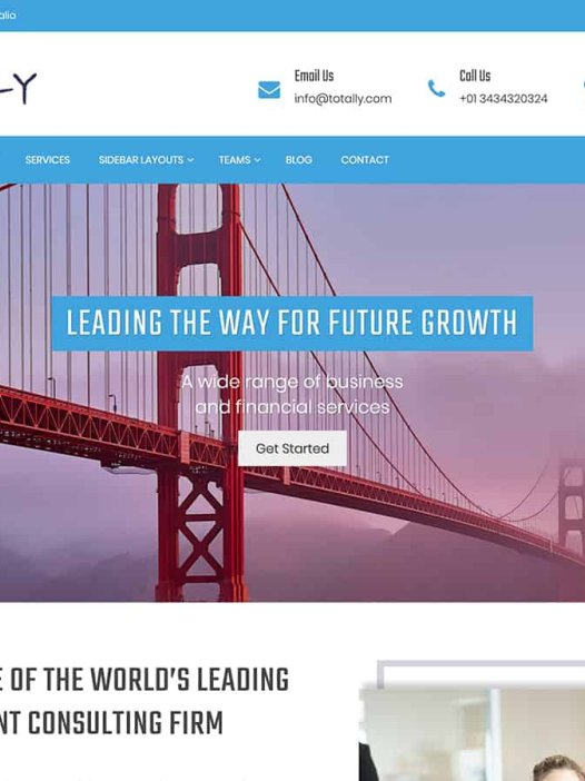 Totally WordPress 主题