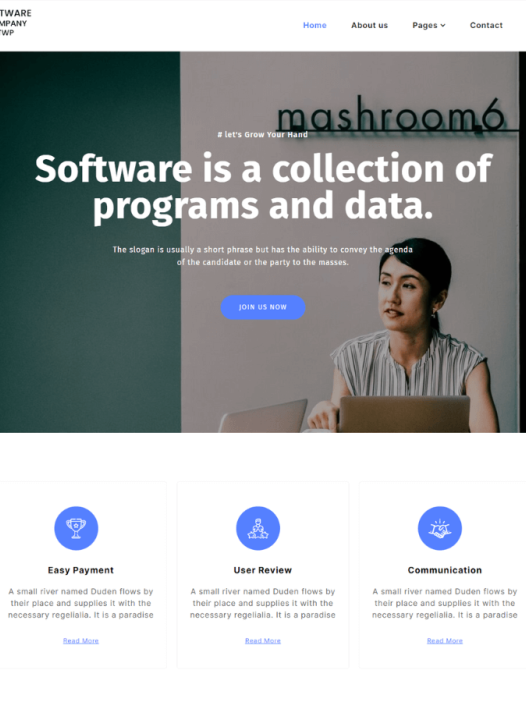 Software Elementor WordPress 主题