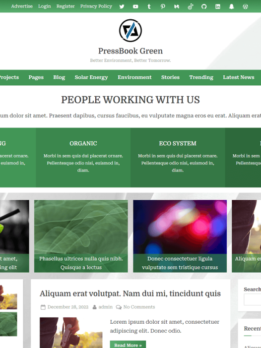 PressBook Green WordPress 主题