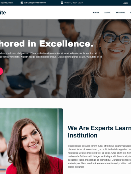 FSE Study Lite WordPress 主题