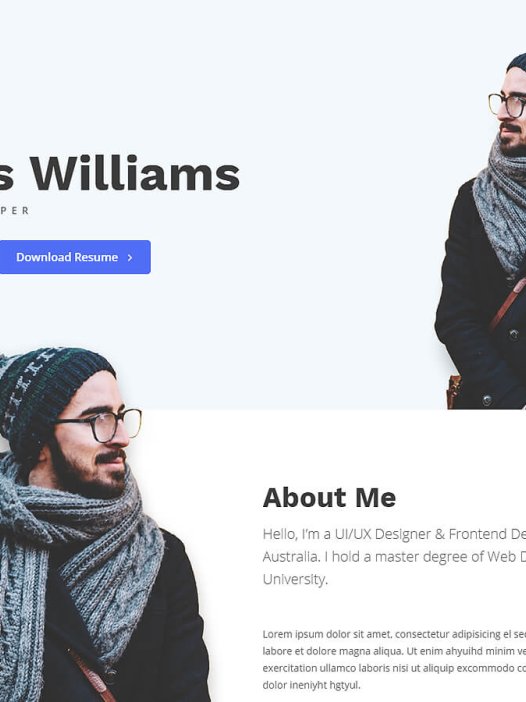 Portfolio Web WordPress 主题