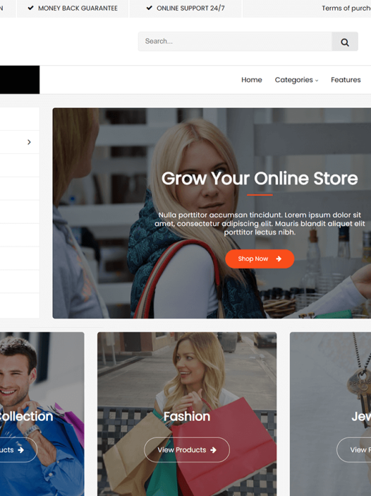 Multi Store WordPress 主题