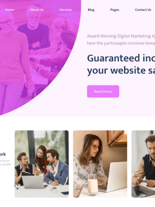 SEO Marketing Expert WordPress 主题