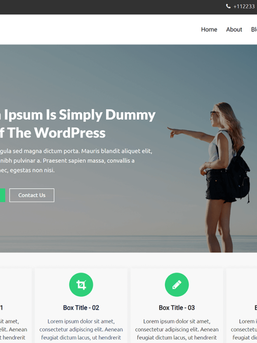 Clean Vision WordPress 主题