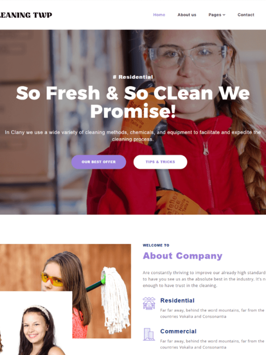 Cleaning Elementor WordPress 主题