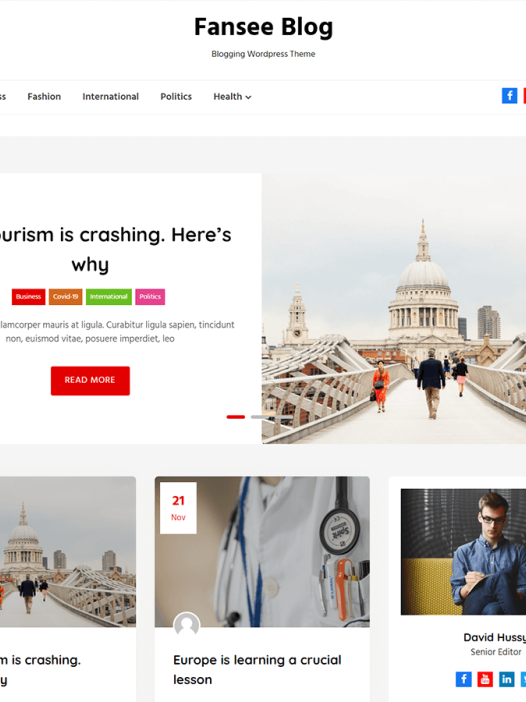 Fansee Blog WordPress 主题