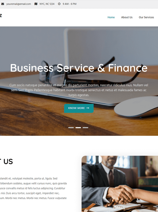 Fansee Biz WordPress 主题