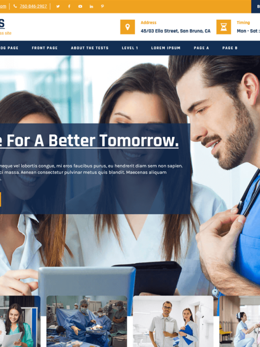 Medicos Lite WordPress 主题