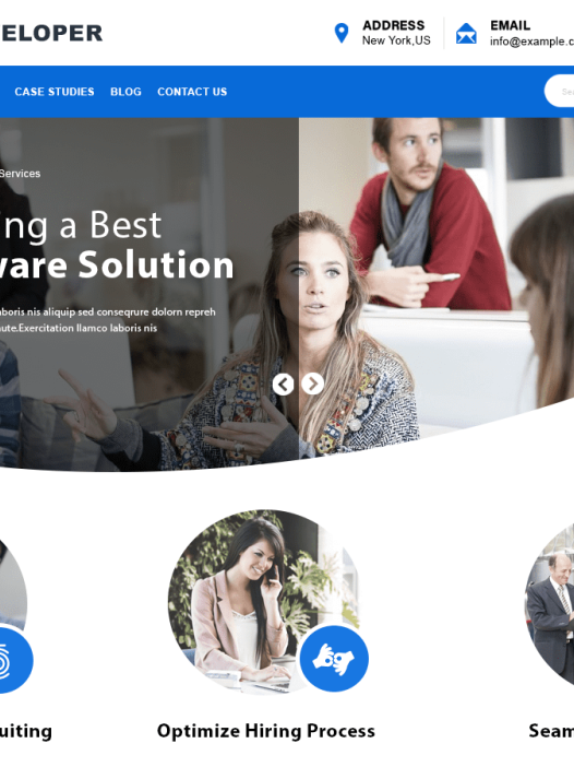 Web Developer WordPress 主题