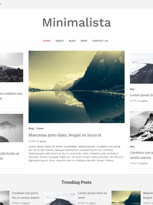 Minimalista Base WordPress 主题