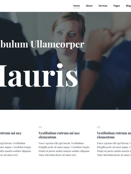 Tradebiz WordPress 主题