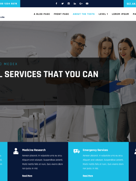 Medex Lite WordPress 主题