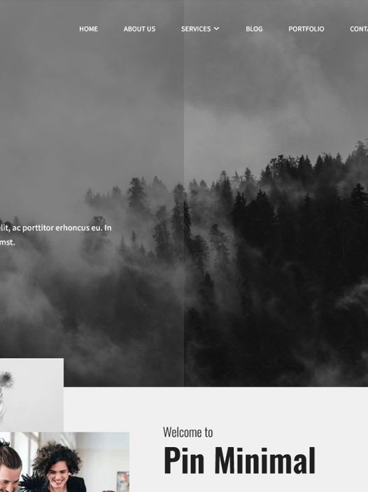 Pin Minimal WordPress 主题