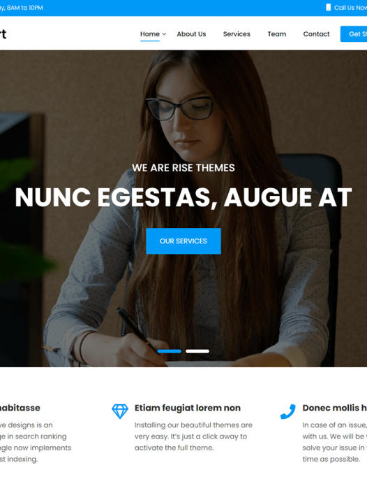 BizSmart WordPress 主题
