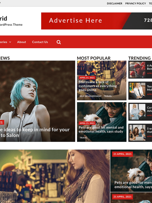 IT News Grid WordPress 主题