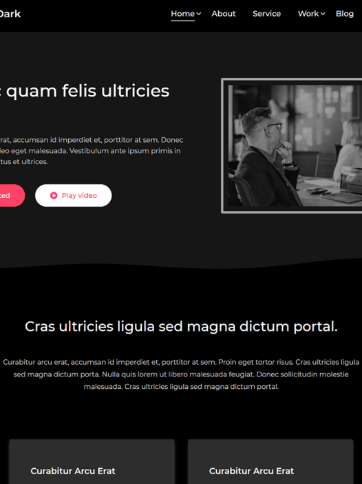 Gutenbiz Dark WordPress 主题