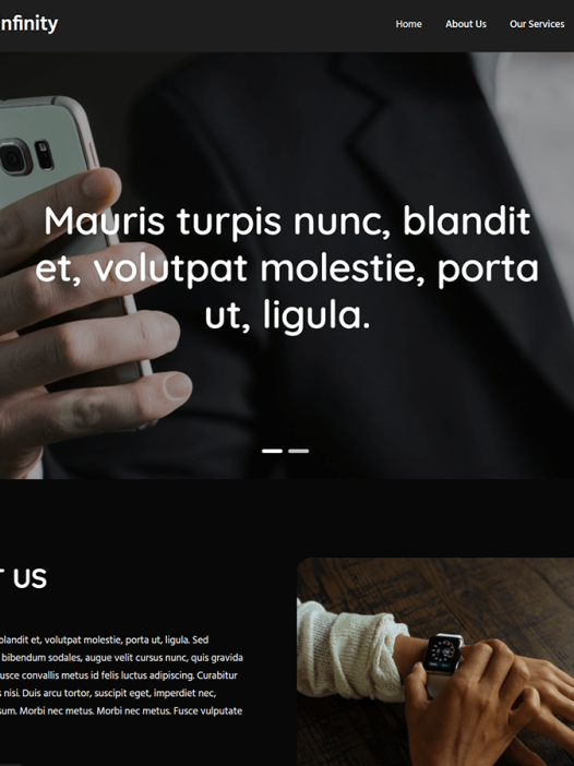 Business Infinity WordPress 主题