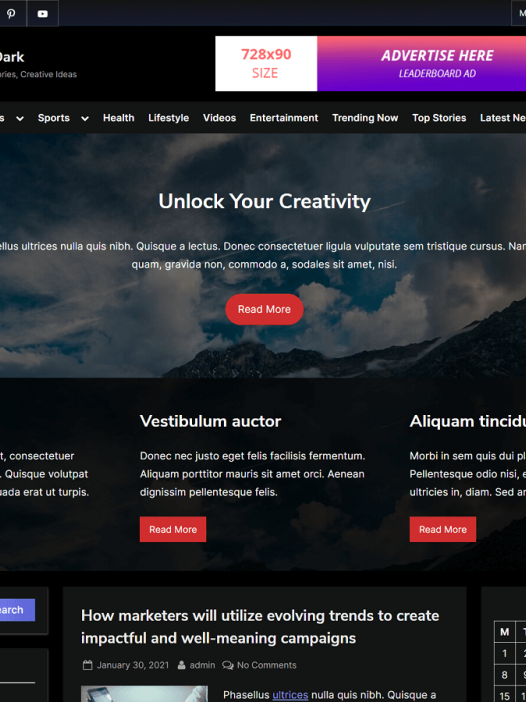 PressBook Dark WordPress 主题
