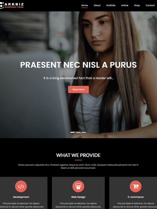 Darkbiz WordPress 主题