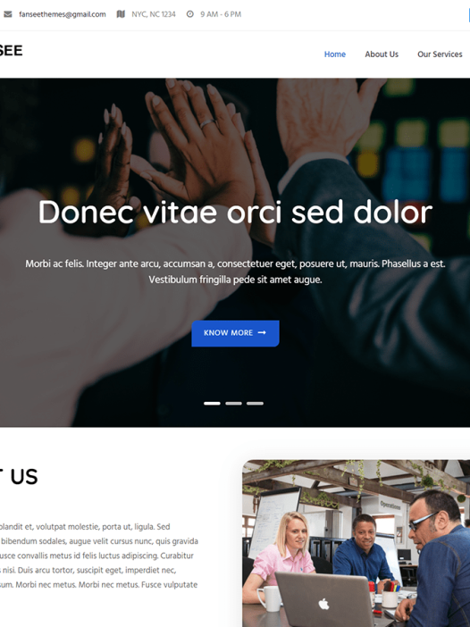 Fansee Business Lite WordPress 主题