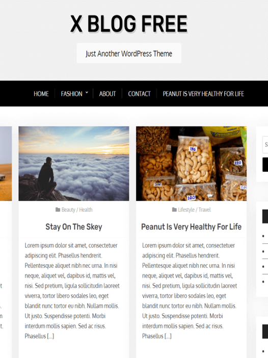 X Blog Free WordPress 主题
