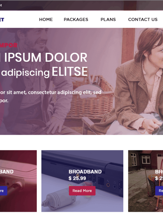 Internet Provider WordPress 主题